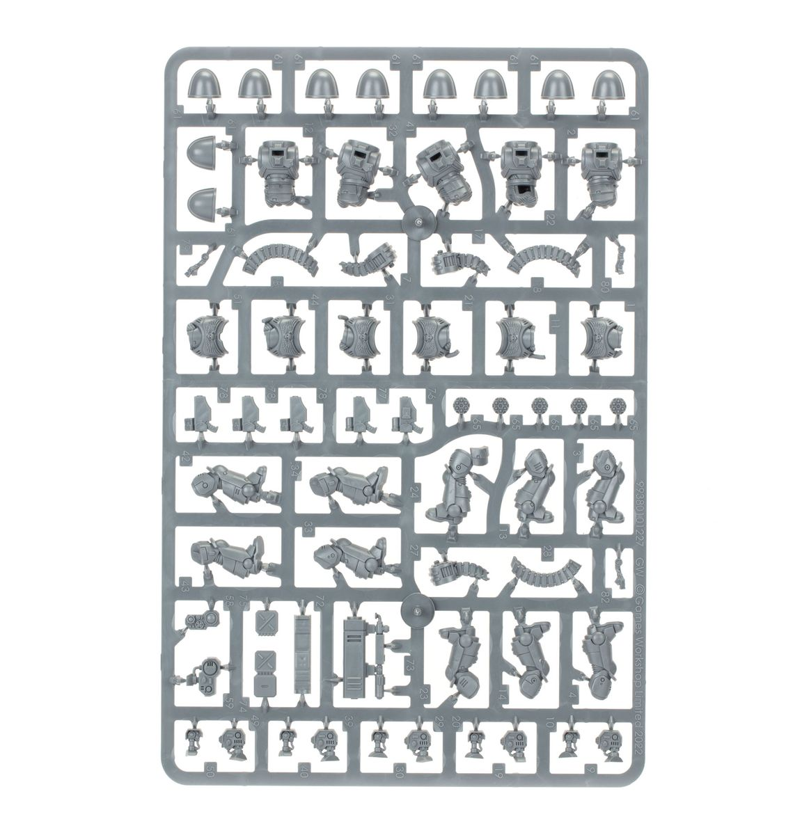 Desolation Squad 48-74 | WH40K